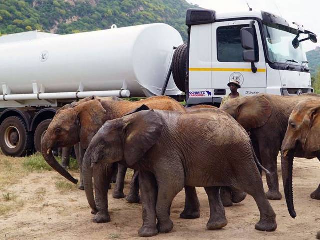 Mercedes-Benz Actros 3350 6x6 water tank at work with orphaned elephants.